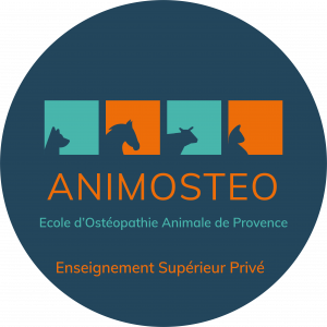 école ostéopathie animale Marseille