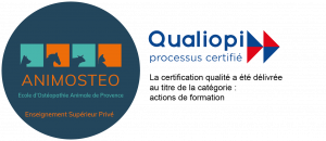 Logo Animosteo-qualiopi certification qualiopi