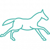 running-horse-outline-side-view (2) Biomécanique Animosteo