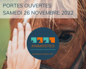 école ostéopathie animale