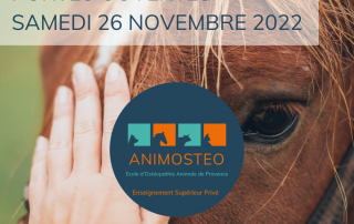 école ostéopathie animale