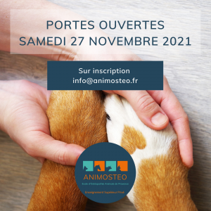 Portes ouvertes Nov 2021 portes ouvertes école ostéopathie animale