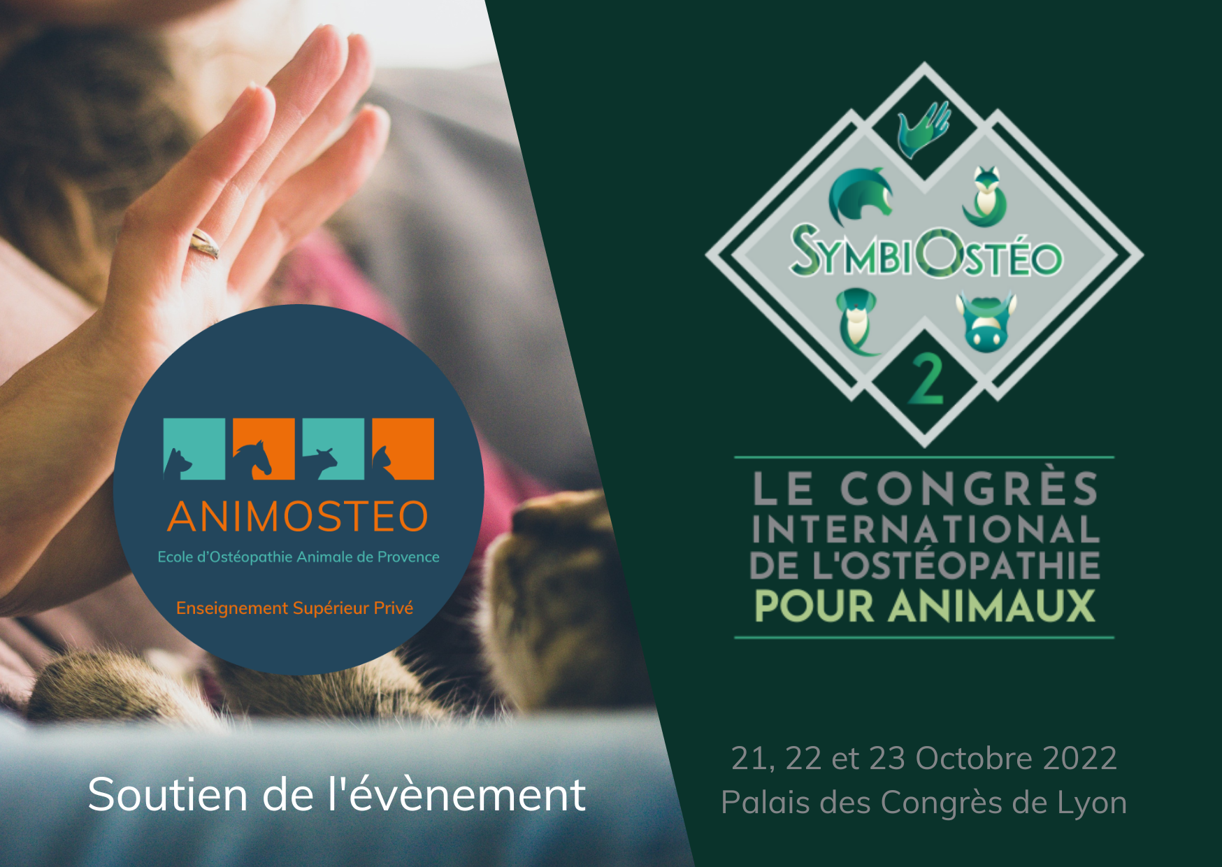 Congrès international ostéopathie pour animaux