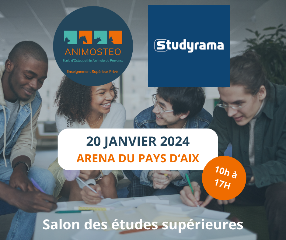 studyrama 2024