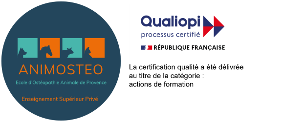 Logo Animosteo - Qualiopi
