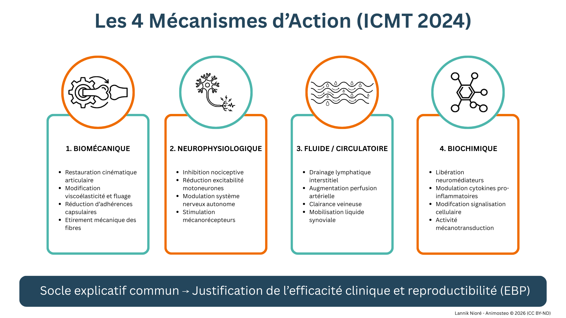 Mécanismes d'action