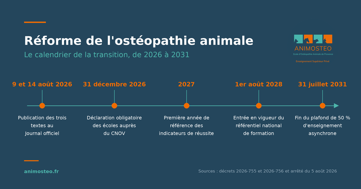 Réforme de l'ostéopathie animale 2026
