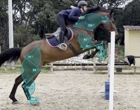 Mesure des angles articulaires d'un cheval pendant le saut d'obstacle