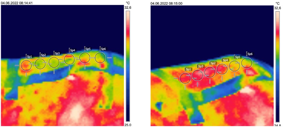 Thermogrammes de la région lombaire d'un cheval avec points de mesure L1 à L6